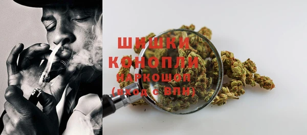 ПСИЛОЦИБИНОВЫЕ ГРИБЫ Пересвет