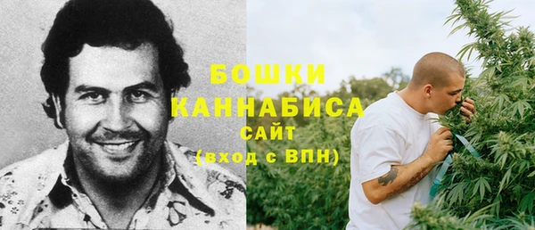 мяу мяу кристалл Переславль-Залесский